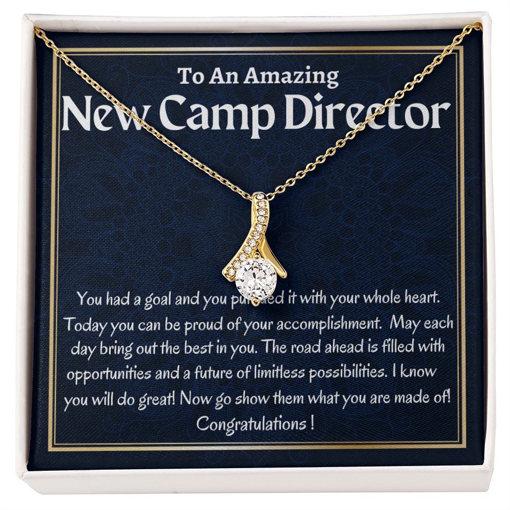 To An Amazing New Camp Director Alluring Beauty Necklace, New Camp Director Appreciation Gift, Congratulations Gift For Her, Meaningful Jewelry.