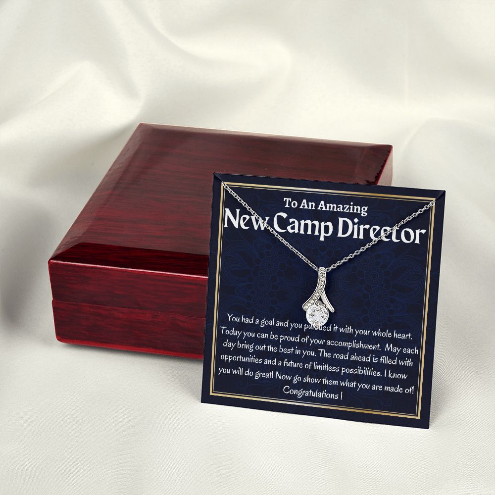 To An Amazing New Camp Director Alluring Beauty Necklace, New Camp Director Appreciation Gift, Congratulations Gift For Her, Meaningful Jewelry.