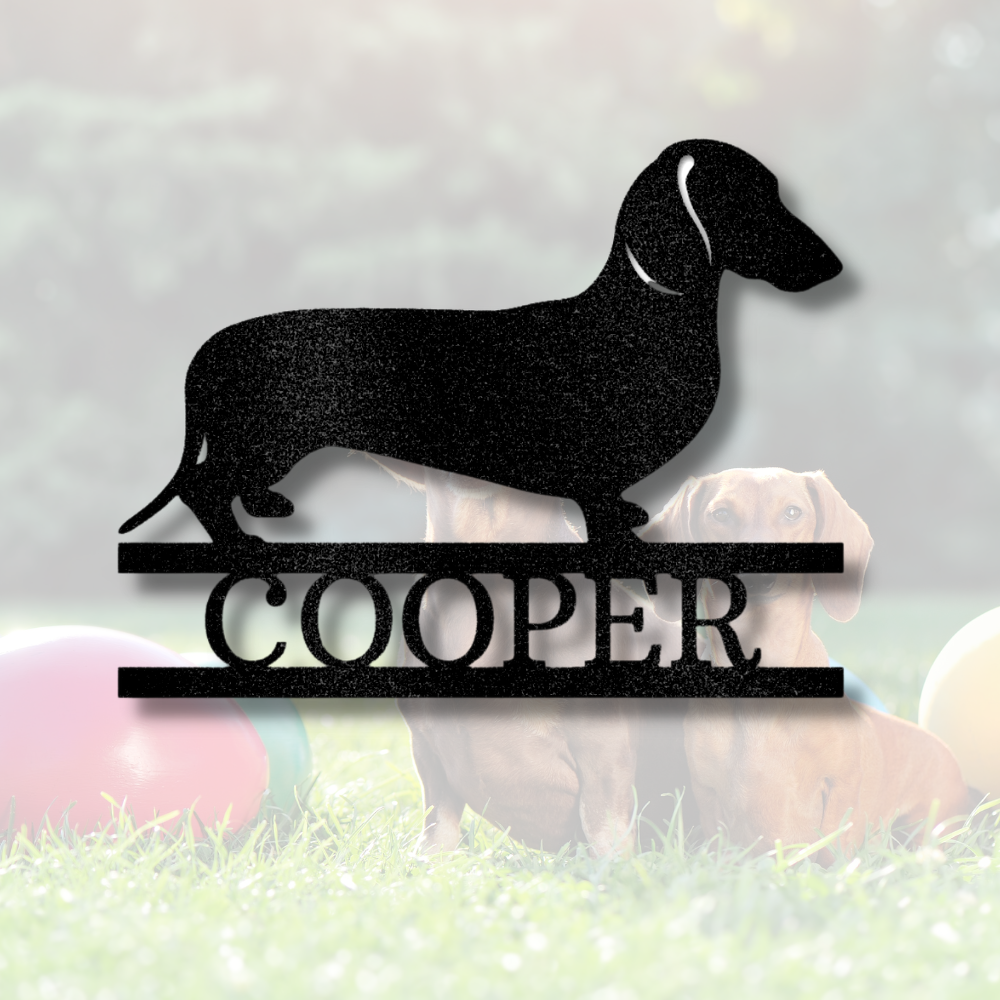 Dachshund gear sales